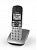 Радиотелефон Panasonic KX-TGE510RUS 